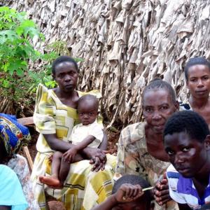 Shikoye Foundation for Children’s Support and Farming Shikoye Foundation for Children’s Support and Farming